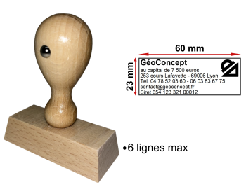Image Tampon éco Géomètre Expert 6 lignes/logo