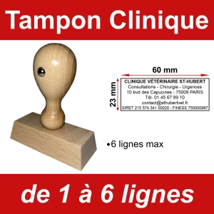 Tampon éco Clinique 6 lignes