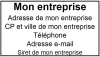 Empreinte Trodat Professionnel 5203 empreinte
